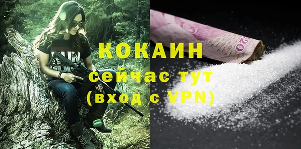 дживик Каменка