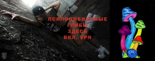 твердый Каменногорск