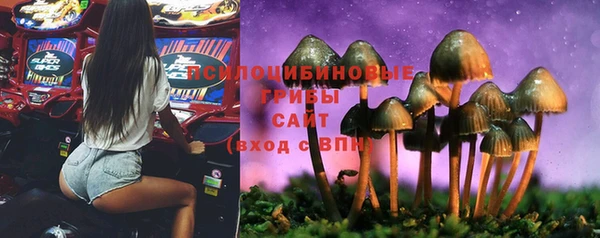 твердый Каменногорск
