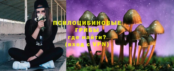 бошки Инсар