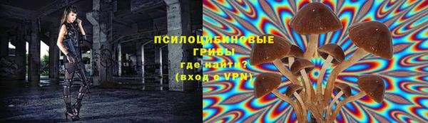 бошки Инсар