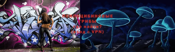 прущая мука Иннополис