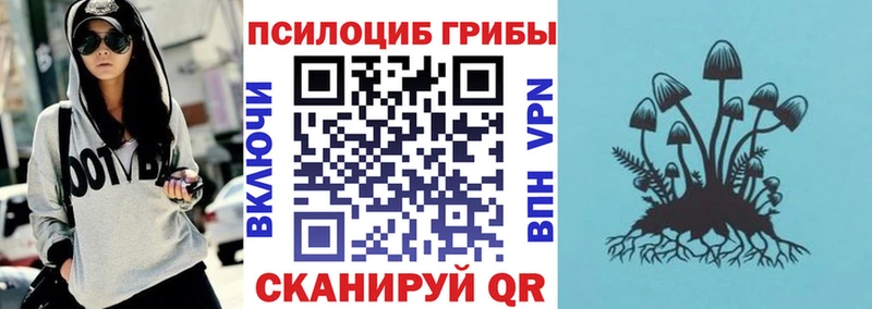 Псилоцибиновые грибы GOLDEN TEACHER  Купить закладки  Воркута 